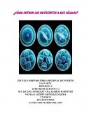 ¿Cómo entran los nutrientes a mis células?