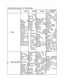 Actividad de aprendizaje 1.2.a. Tejido epitelial