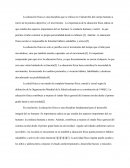 Deporte y Educación Física