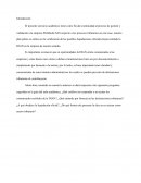 Piloto de Auditoria Tributaría Liquidación Oficial