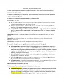 Metabolismo del agua