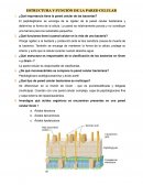 Estructura y función de la pared celular