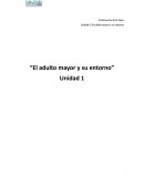 El adulto mayor y su entorno