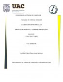 El enfoque interpretativo de Clifford G.