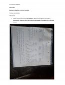 Práctica caso Granma