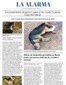 Envenenamientos de perros y gatos en las vereda Escalante Finca