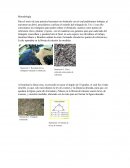 Método del triángulo de 3,4 y 5