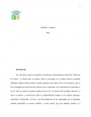 Profesorado Educación Primaria. Detrás de la pizarra