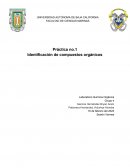 Reporte Quimica Practica Laboratorio de química