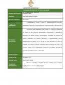 Proyecto venta Pineapple Paper