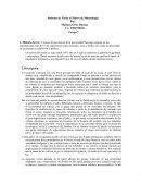 Informe de Visita al Museo de Mineralogía