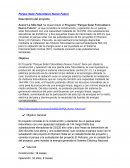 Proyecto “Parque Solar Fotovoltaico Nuevo Futuro”