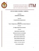 Comportamiento organizacional. Empresa Eclipse Lunar