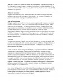 Hígado ¿Dónde se encuentra?