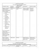 Campaña de vida saludable “Yo te cuido, tú me cuidas, todos nos cuidamos”