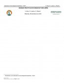 Buenas prácticas de manufactura (bpm)