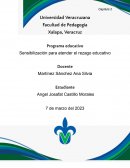 Programa educativo . Sensibilización para atender el rezago educativo