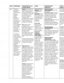 Formación motriz II