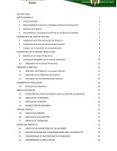 Resumen Ejecutivo de PIP