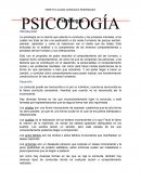 Ensayo de psicologia