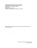 La importancia de una práctica sana de valores morales en la supervisión educativa