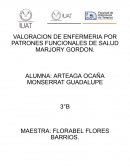 Valoracion de enfermeria por patrones funcionales de salud Marjory Gordon