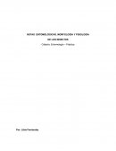 Notas entomológicas. morfología y fisiología de los insectos