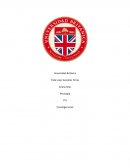 Ensayo sobre "La ola"