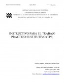 Instructivo para el trabajo práctico sustitutivo (TPS)