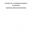 Articulos de la constitucion. Los derechos humanos y sus garantias