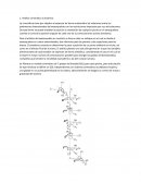 Análisis cinemático y dinámico