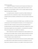 Solución al caso práctico empresa de videojuegos SL