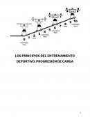 Los principios del entrenamiento deportivo: Progresión de carga