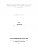 Importancia de un diseño de un sistema de control interno y diferencia entre oficina y sistema de control interno