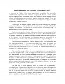 Rasgos fundamentales de la economía de Estados Unidos y México