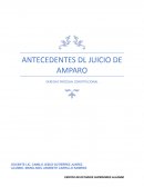 Antecedentes del juicio amparo