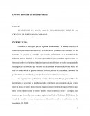 Innovacion del concepto al contexto