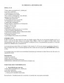 El poder de la determinación