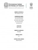Reporte de practica microbiologia