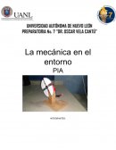PIA La mecánica en el entorno