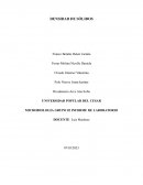 Densidad de Solidos