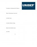 Ensayo Plaza de Marketing