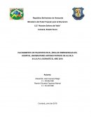 Hacinamiento de pacientes en el área de emergencias del (H.U.A.P.A.) durante el año 2019