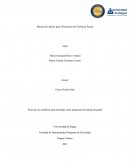 Manual de Apoyo para Victimarios de Violencia Pareja