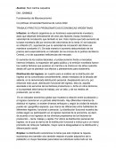 Trabajo práctico Problematicas economicas argentinas