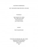 Diagnostico empresarial . Bimbo