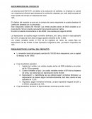 Analisis empresa textil BIA S.R.L