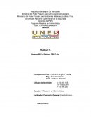 Criminalistica Sistema IBIS y Sistema DRUG fire