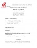 Practica numero 2 “El punto ciego”