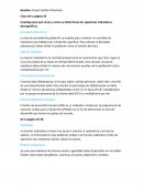 Indicadores demográficos